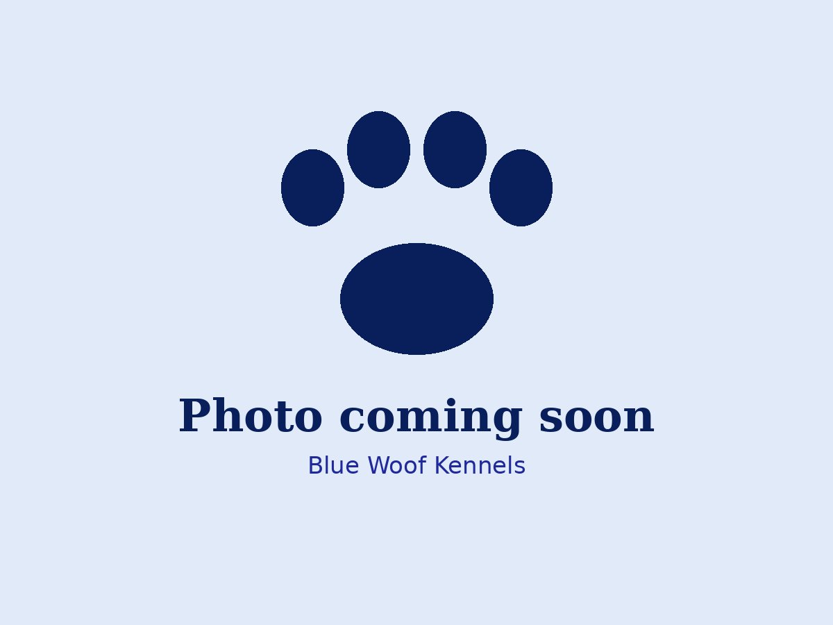Photo coming soon